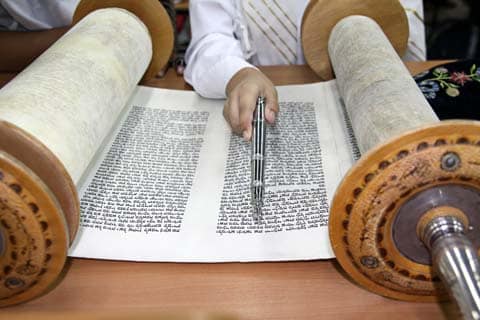 Reading the Torah scroll.